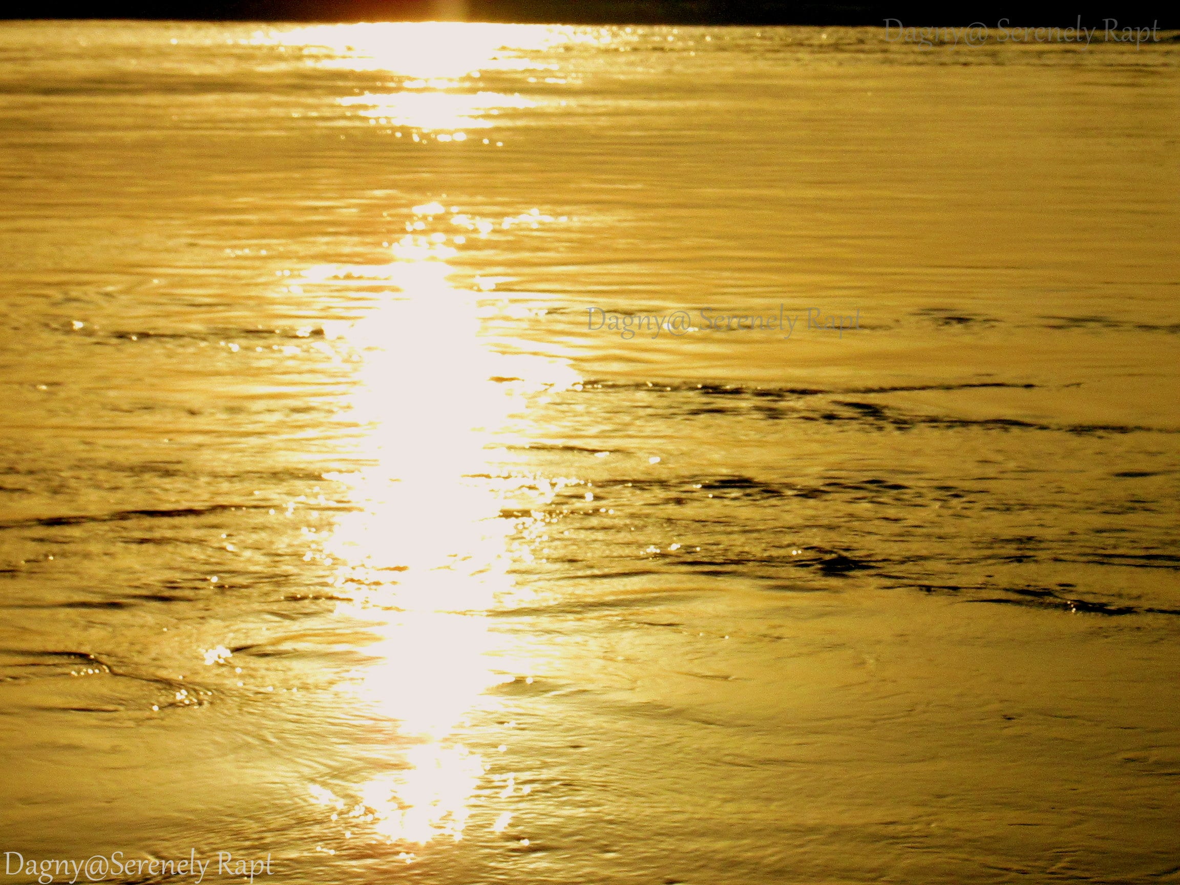 8th March ’15 (11)