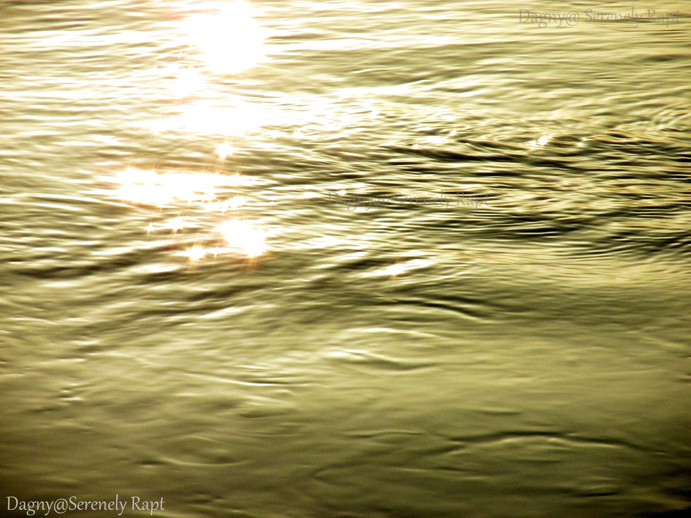 8th March ’15 (12)