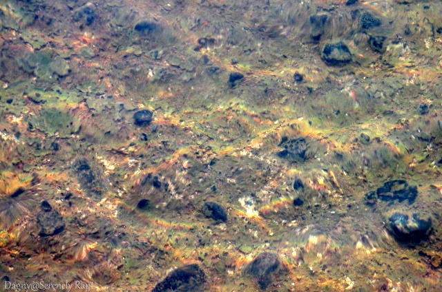 8th March ’15 (15)