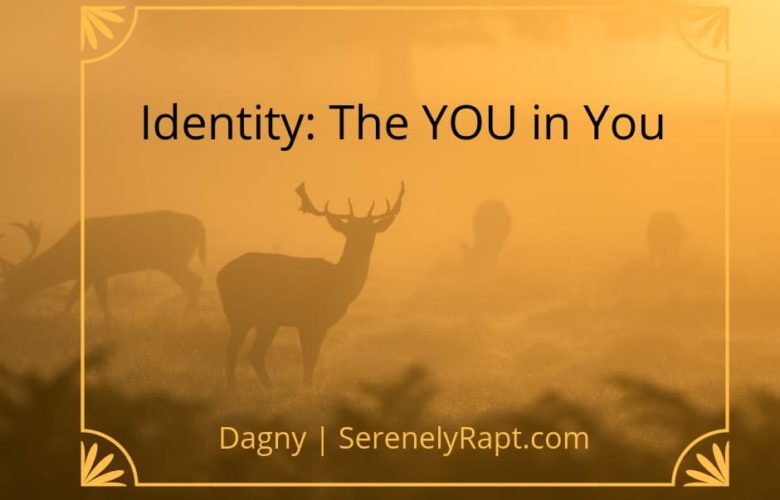 Identity: The YOU in You